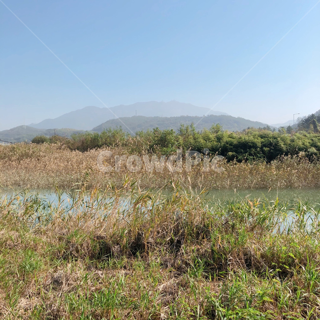 nature,자연,outdoors,옥외,water,물,강,river,갈대,자연,풍경,nature,landscape
