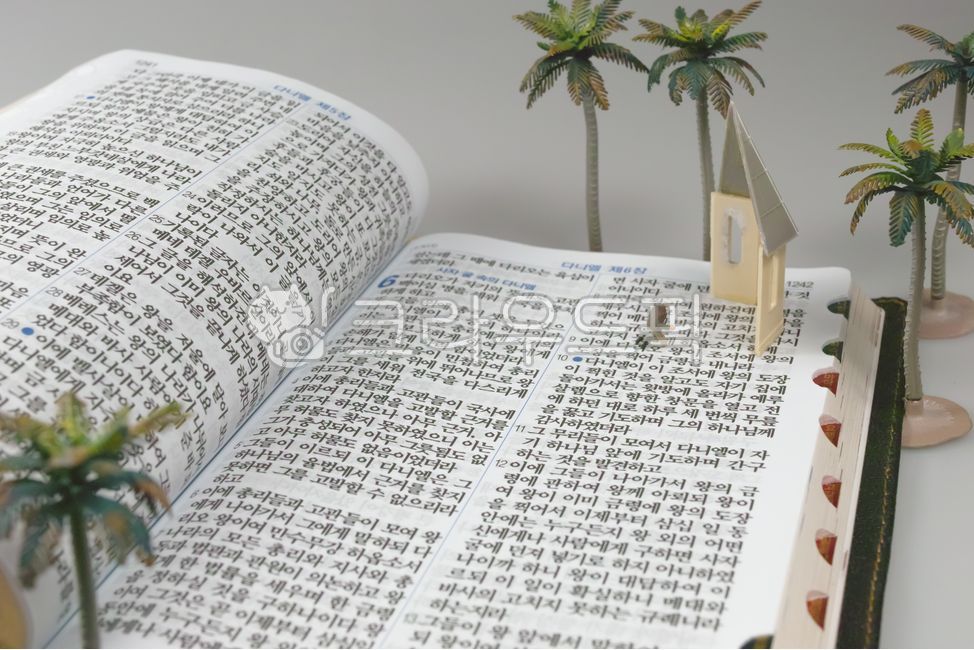 성경,구약성경,다니엘,다니엘이야기,신앙,믿음,기도,기독교,개신교,바이블,thebible,holybible,바벨론포로기,이스라엘,이스라엘역사,하나님의말씀