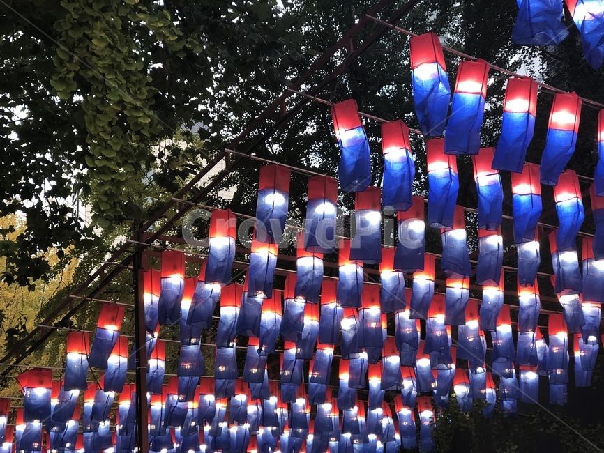 인사동,청사초롱,거리행사,거리축제,전통문화