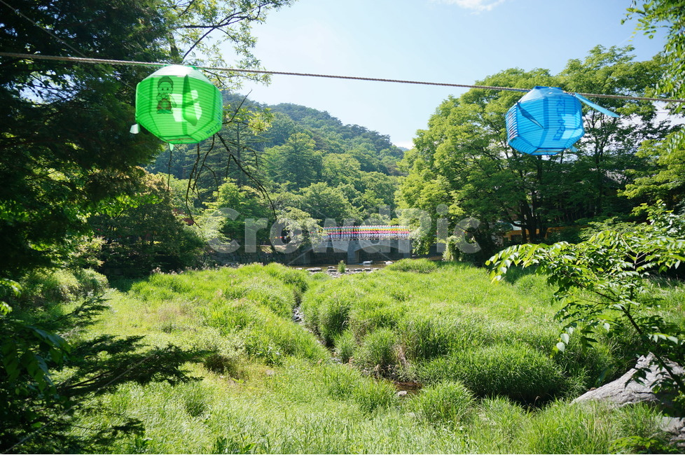 한국,전통,연등,절,공주시,마곡사,부처님오신날,자연,풍경,nature,landscape,종교,신앙,religion,belief,faith,축제,행사,festival,carnival,event,outdoors,옥외