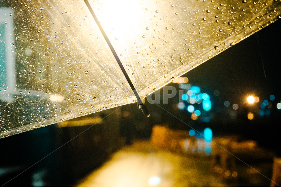 비,우산,야경,감성,보케,조명,빗물,야간,빗방울,야경,밤,풍경,nightscape,night,landscape,감성,sensible,feeling,비,비오는날,rain,rainy