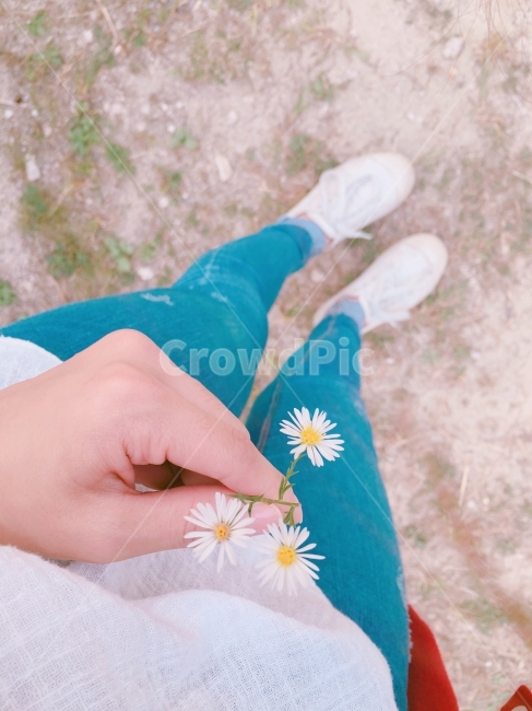 꽃,꽃사진,분위기,감성,배경화면,여름,공원,식물,자연,plants,nature,꽃,flower,사람,인물,인간,human,person,신체일부,몸,body,감성,sensible,feeling
