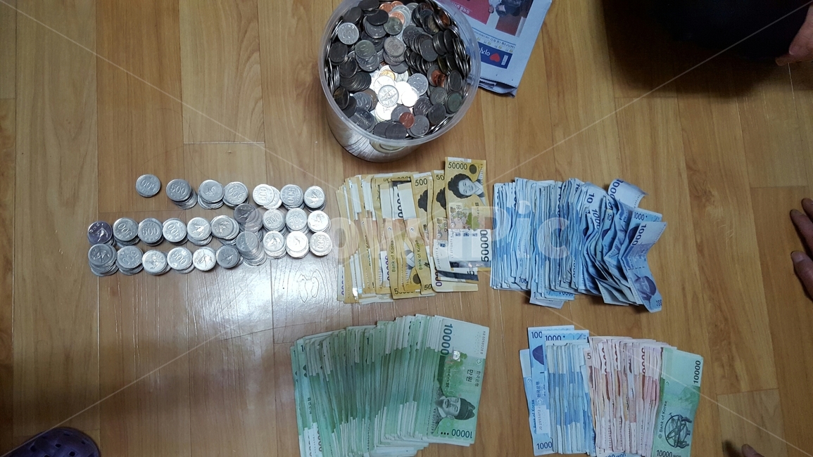 저금통,현금,돼지저금통,동전,지폐