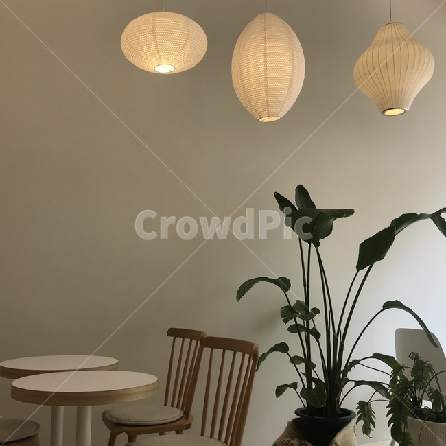 가구,의자,chair,인테리어디자인,옥내,카페,cafe