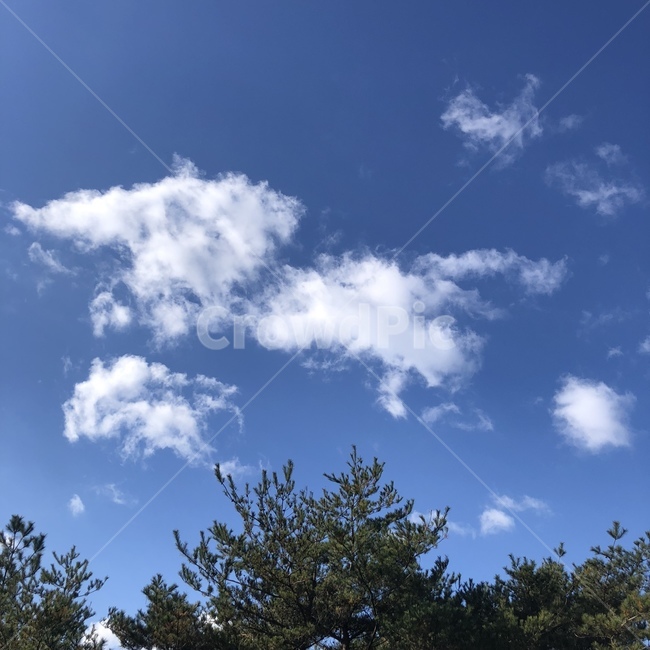 nature,자연,outdoors,옥외,나무,구름,푸른하늘,파란하늘,하늘,cloud,sky,azuresky,날씨,weather,tree,자연,풍경,nature,landscape