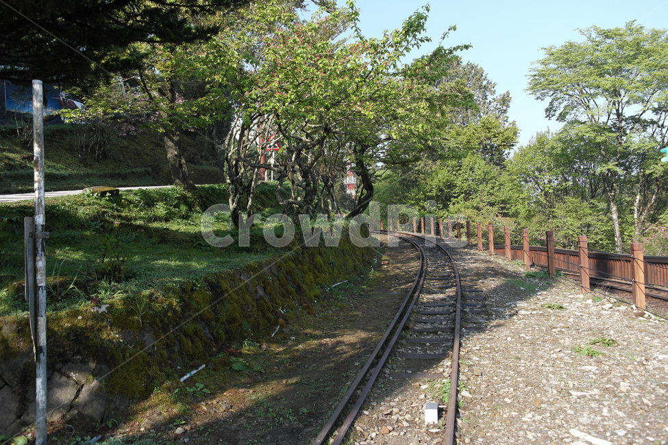 철길,철도,철도길,아침,여행,자연,나무,기차,교통,교통수단,traffic,transportation,train track,기찻길,rail,레일,railway