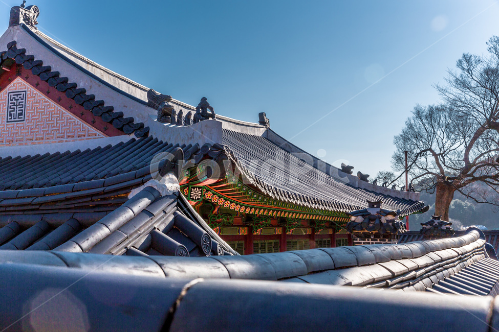 기와,고궁,문화재,문화유산,선,패턴,한국전통,한국문화,korean traditional,korean culture,랜드마크,landmark,tourist attraction,한국랜드마크,한국관광지,한국명소,korea landmark,korea tourist attraction,건축물,건물외관,exterior,building,structure,architecture,construction
