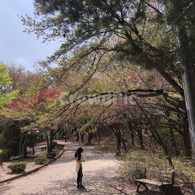 여자,여자옆모습,등산,보문산,대전,가을,단풍나무,봄,벚꽃,여름,산,나무,산책,트레이닝복,하늘,단풍,여행,감성사진