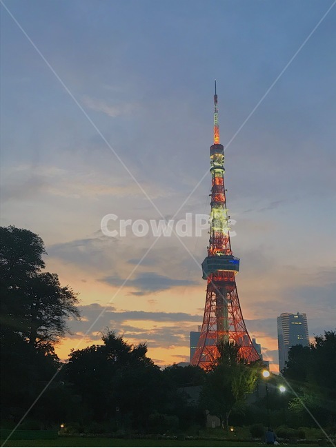 일본,도쿄타워,타워,spire,첨탑,steeple,뾰족한탑,tower,architecture,건축물,building,건물,노을,야경