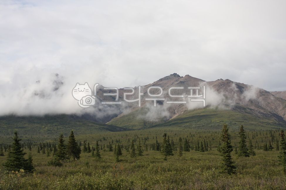 알래스카,디날리국립공원,denalinationalpark,alaska,자연,산,구름,트레킹,툰드라,풍경,경치,자연,풍경,nature,landscape,세계자연풍경,해외자연풍경,외국자연풍경,world nature landscape