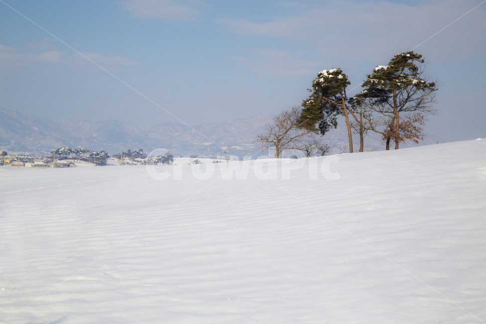 white,snow,언덕,하늘,겨울,나무,winter,tree,눈,sky,겨울,계절,winter,season,자연,풍경,nature,landscape,outdoors,옥외