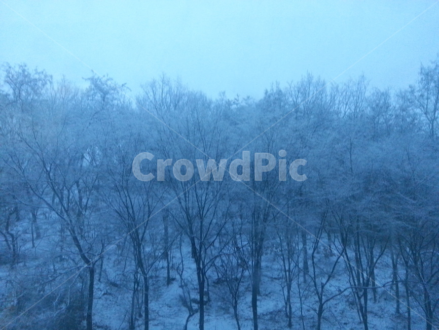 nature,자연,snow,눈,겨울,겨울,계절,winter,season,자연,풍경,nature,landscape