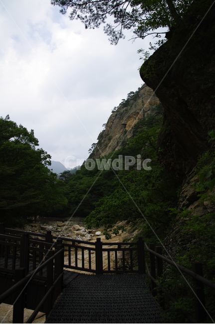 길,산,하늘,나무,식물,풍경,자연,풍경,nature,landscape,outdoors,옥외