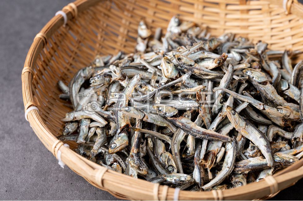 멸치,고바멸치,fish,해양생물,sealife