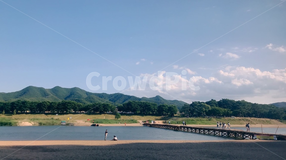 경상북도,안동,하회마을,섭다리,자연,풍경,하늘,산,시골마을,나무다리,한국문화