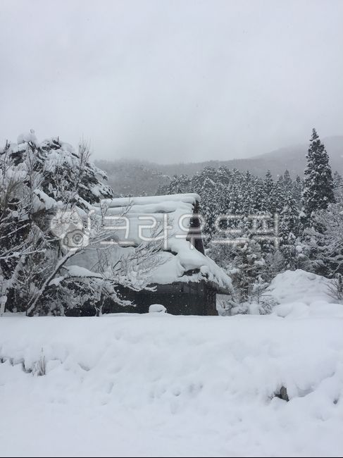 시라카와고,일본겨울,일본전통가옥,나고야겨울,폭설