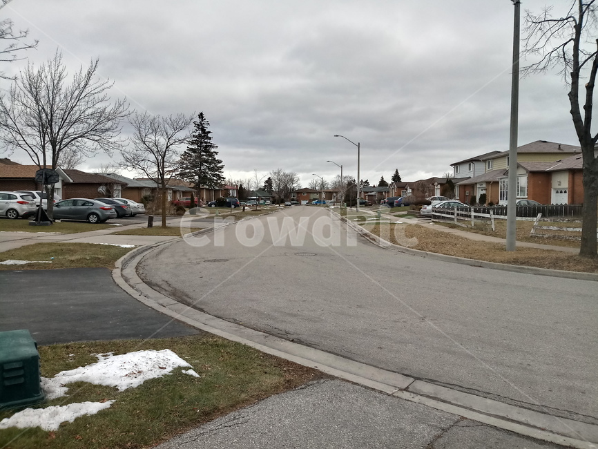 캐나다,토론토,도로,주택단지,주택,canada,toronto,road,street,house