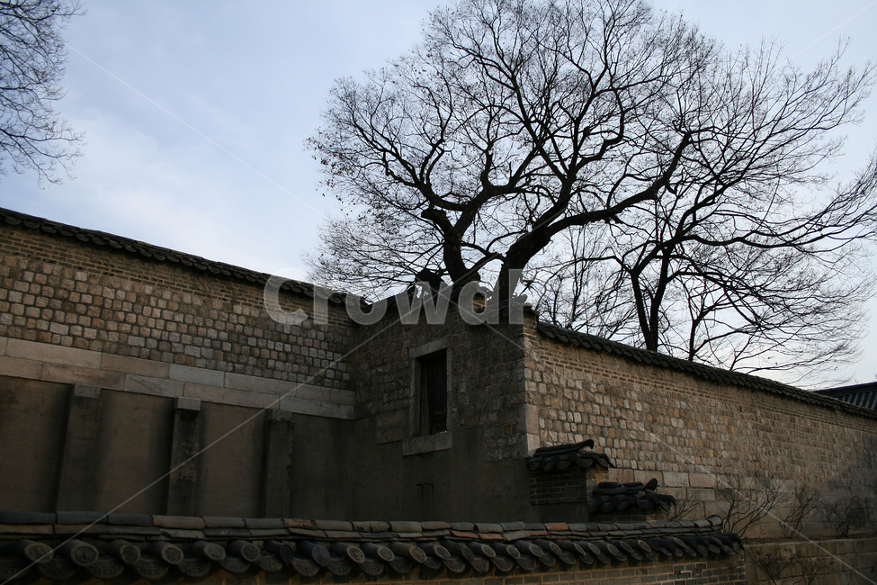 창덕궁,담,한국의궁,세계문화유산,문화유산,한국,궁궐담,한국전통,한국문화,korean traditional,korean culture,건축물,건물외관,exterior,building,structure,architecture,construction