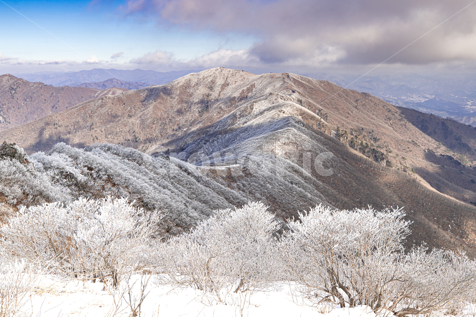 자연,풍경,배경,산,소백산,설경,눈,상고대,겨울,겨울,계절,winter,season,자연,풍경,nature,landscape