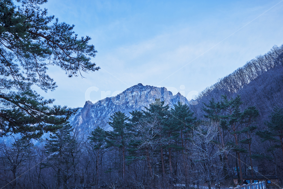 설악산,산,하늘,눈,국립공원,풍경,겨울,계절,winter,season,자연,풍경,nature,landscape,한국자연풍경,한국자연경관,korea nature landscape,tree,나무,plant,식물,fir,전나무,abies,아비