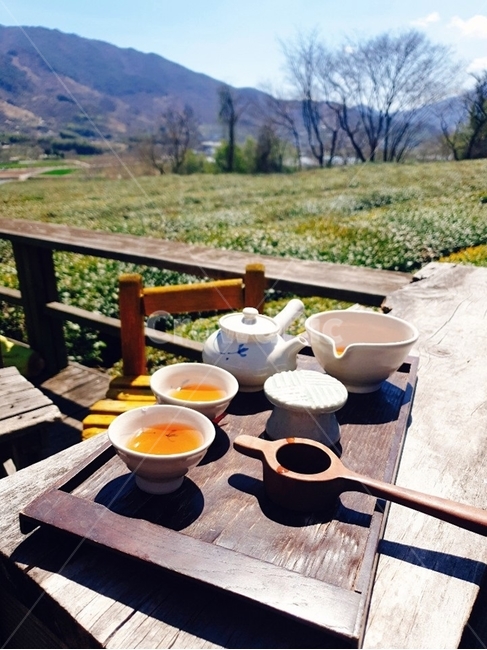 하동다원,다원,녹차밭,다도,차마시기,차우리기,녹차,홍차,음료수,drink,beverage