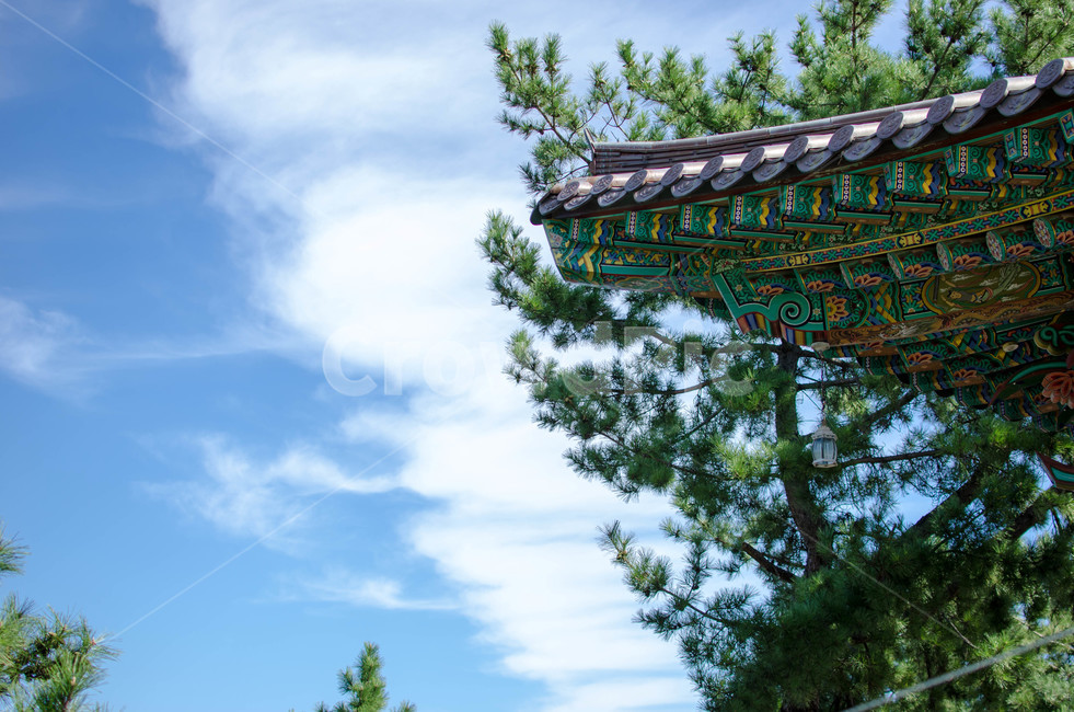 낙산사,처마,단청,하늘,바람,풍경,한국전통,한국문화,건축물,건물외관,koreantraditonal,koreanculture,exterior,building,structure,architecyre,한국전통,한국문화,korean traditional,korean culture,건축물,건물외관,exterior,building,structure,architecture,construction