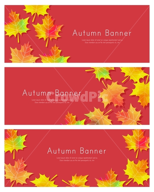 단풍잎,잎,배너,가을,이벤트,가을,계절,fall,autumn,season,축제,행사,festival,carnival,event,그래픽,일러스트레이션,graphic,illustration,leaf,plant,식물,tree,나무,maple,단풍,poster,포스터,advertisement,광고