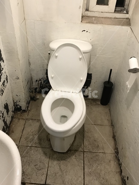 화장실,bathroom,옥내,indoors,방,room,toilet,변기,좌변기