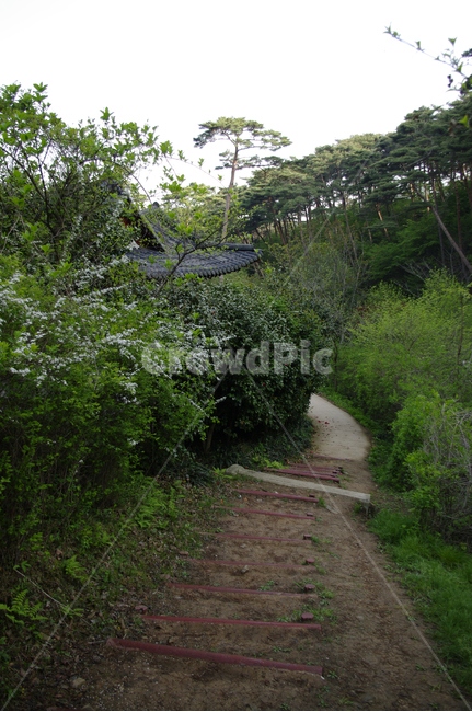 길,나무,식물,풍경,꽃,자연,풍경,nature,landscape,outdoors,옥외,garden,정원,arbour,정자