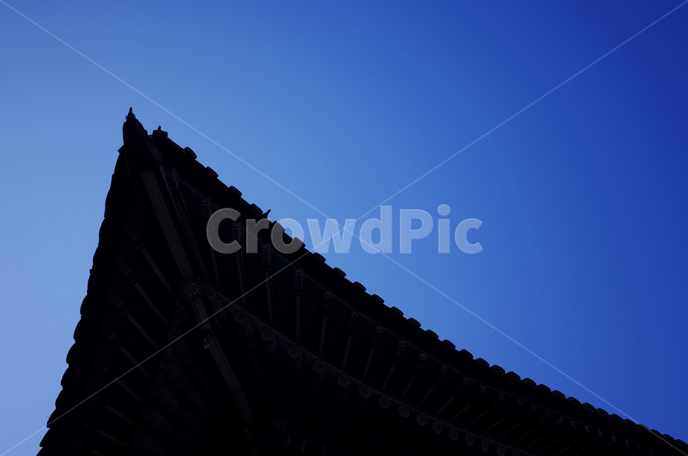 nature,자연,sky,하늘,blue,파란,푸른,파란하늘,푸른하늘,silhouette,실루엣