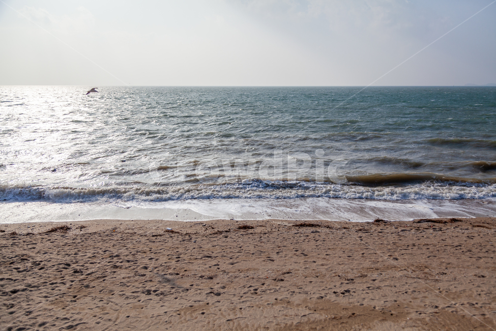 물,water,대양,바다,서해,서해안,서해바다,제부도,ocean,nature,자연