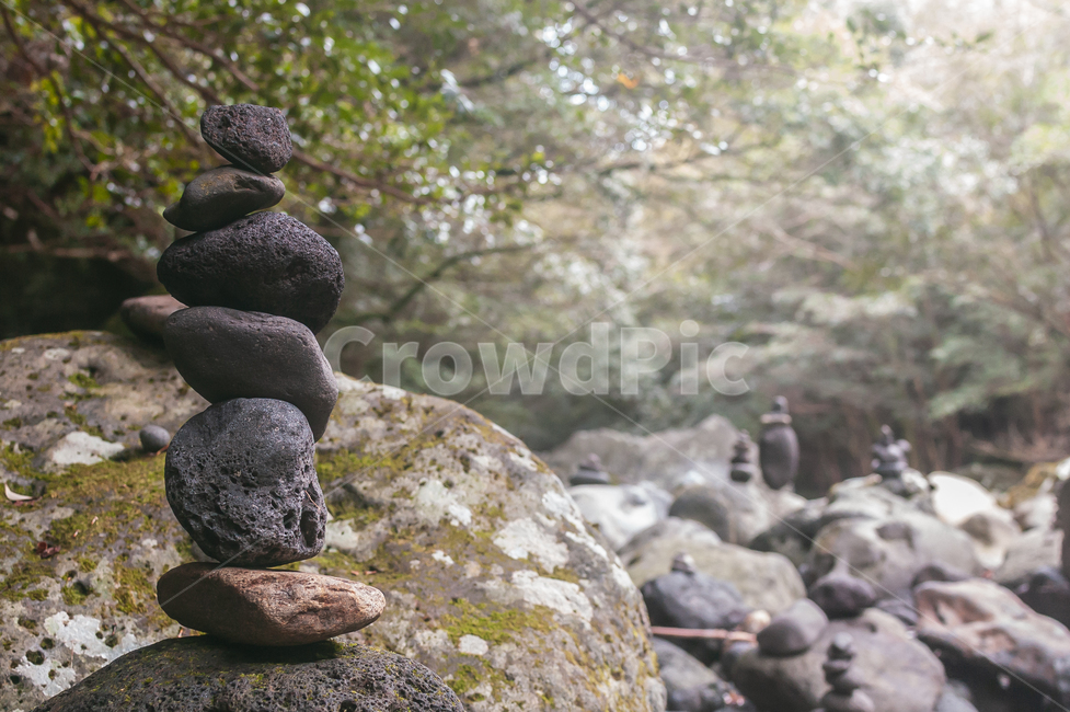 돌,숲,자연,식물,풍경,제주도,nature,plant,초록색,숲속,감성,감성사진