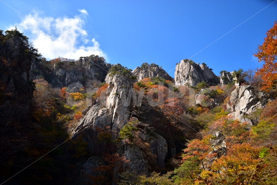 대둔산,가을,풍경,단풍,탐방,도립공원,빨간단풍,파란하늘,가을색,오색,울긋불긋,알록달록,그림같은,칼라풀,뷰티플,아름다운,힐링,감성,자연,정취,산세,명산,100대명산,nature,산,등산,트레킹,풍경사진,비경,경치,가을사진,가을색채,가을의정취,맑음,청명,가을날씨,경관,기암,암봉우리,mountain,금산,완주,논산,낙조대,낙조산장,마천대,케이블카,구름다리,삼선계단,칠성봉,가을,계절,fall,autumn,season,자연,풍경,nature,landscape,한국자연풍경,한국자연경관,korea nature landscape,outdoors,옥외,cliff,낭떠러지