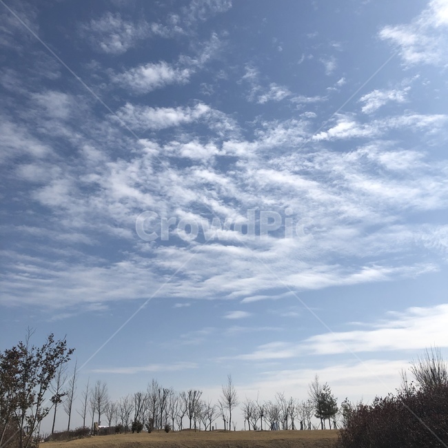 풍경,구름,나무,예쁜,파란,하늘,파란하늘,자연,풍경,nature,landscape,outdoors,옥외,weather,날씨
