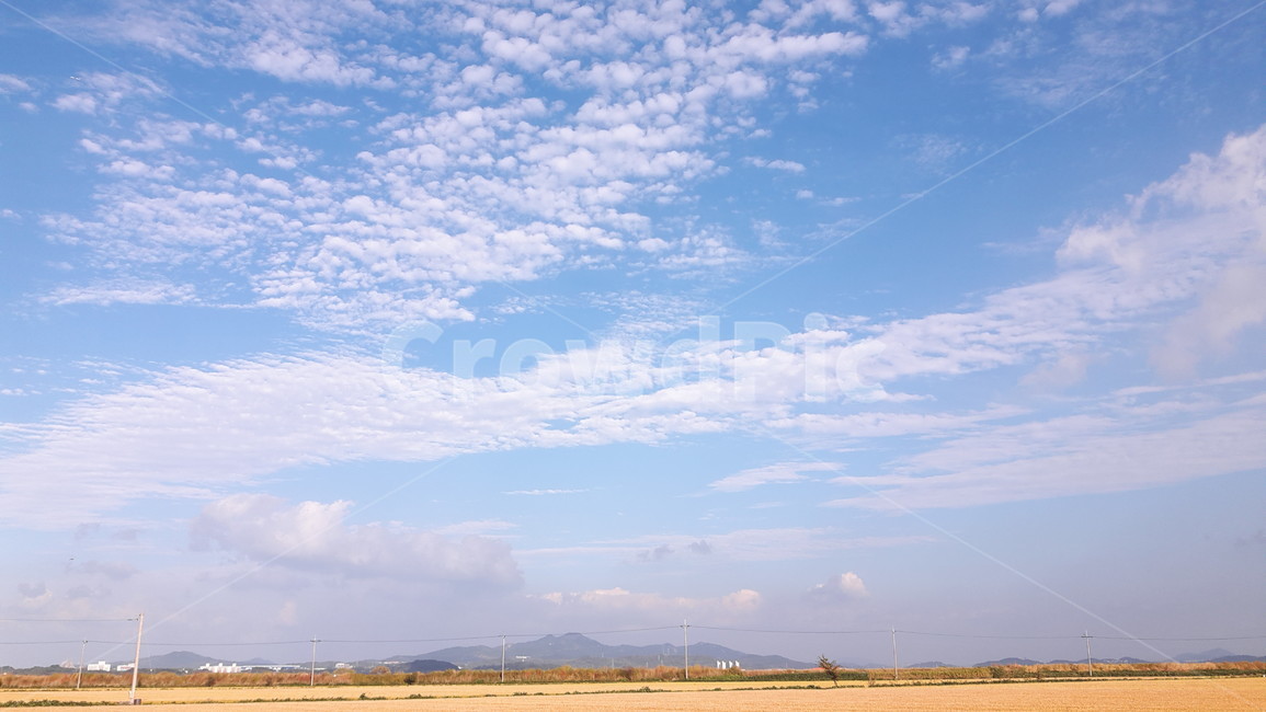 시골,논,벼,풍경,구름,하늘,sky,nature,fall,가을,자연,자연,풍경,nature,landscape,outdoors,옥외