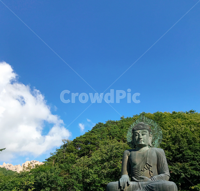 설악산,신흥사,부처,국립공원,문화재,하늘,산