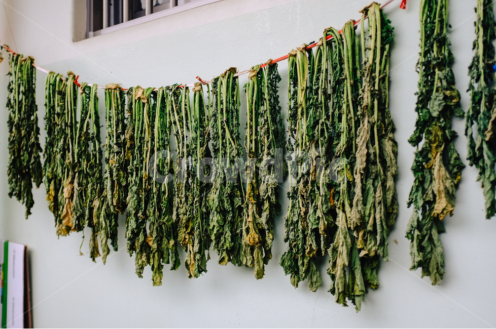 가을,감성사진,한국전통,자연풍경,음식,음식,식재료,요리,food,cook,meal,dishes,food reserves