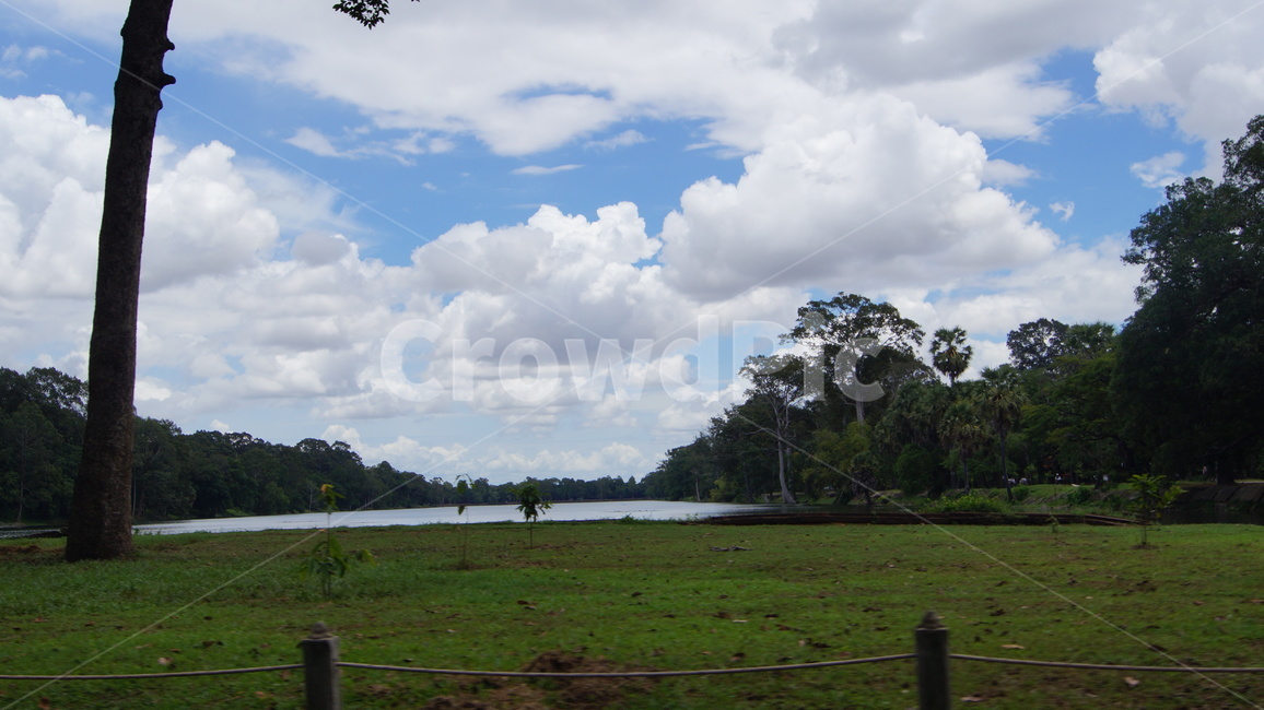 trees,tree,forest,cambodia,sky,blue,cloud,road,park,garden,landscape,green,nature,sun,sunny,sunnyday,나무,하늘,공원,숲,캄보디아,풍경,자연,잔디,해,풀