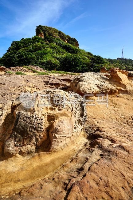 예류,예류지질공원,기암괴석,산호조각,대북,대만,바위,해외,공원,풍경,자연,바다,관광지,침식,풍화,풍화작용,타이베이,타이완,아시아