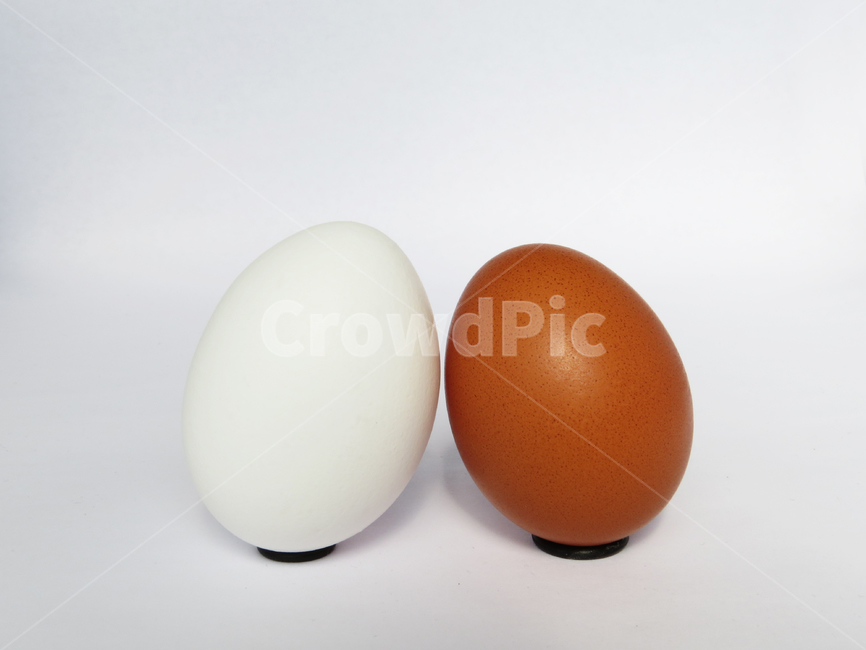 계란,알,흰계란,갈색계란,달걀,헬시푸드,식재료,흰색,화이트,갈색,음식,식재료,요리,food,cook,meal,dishes,food reserves