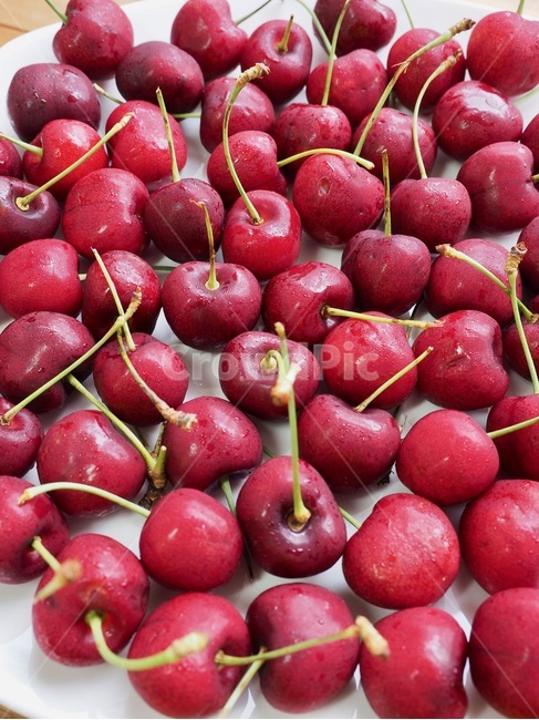 체리,과일,음식,자연,신선함,건강한식생활,유기농,날것,달콤한음식,빨강,배경,cherry,fruit,food,nature,freshness,healthyeating,organic,rawfood,sweetfood,red,background,과일,열매,fruit