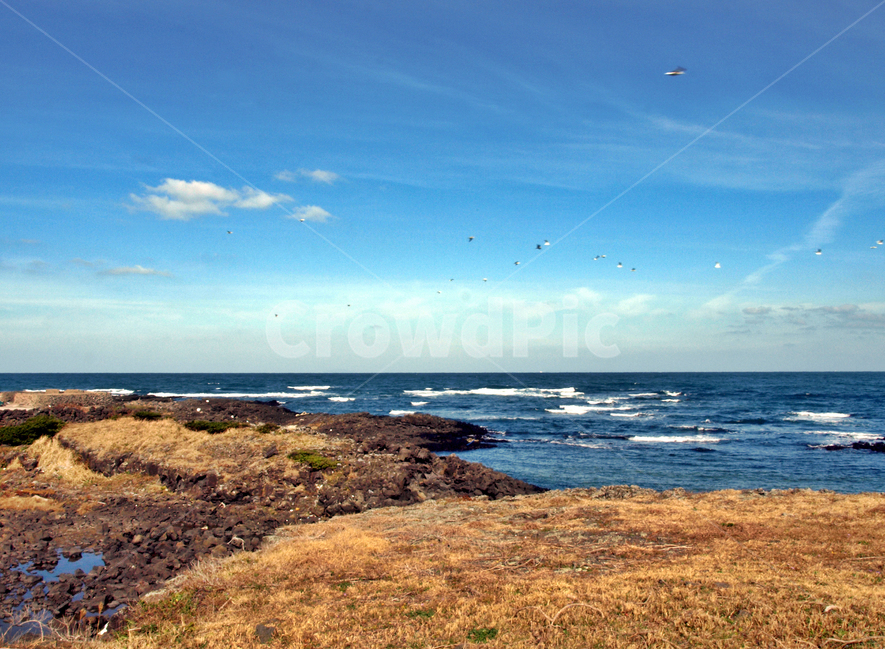 해변,올레21코스,올레,제주,푸른하늘,구름,바다,현무암,파도,자연,풍경,nature,landscape,제주도,jeju,jeju island,land,땅,outdoors,옥외