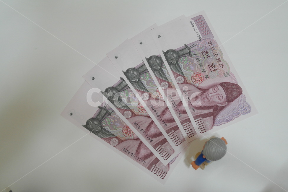 돈,지폐,자산,천원,화폐,금융,돈,finance,banking,money,연출,컨셉,콘셉,direction,concept,누끼,remove background