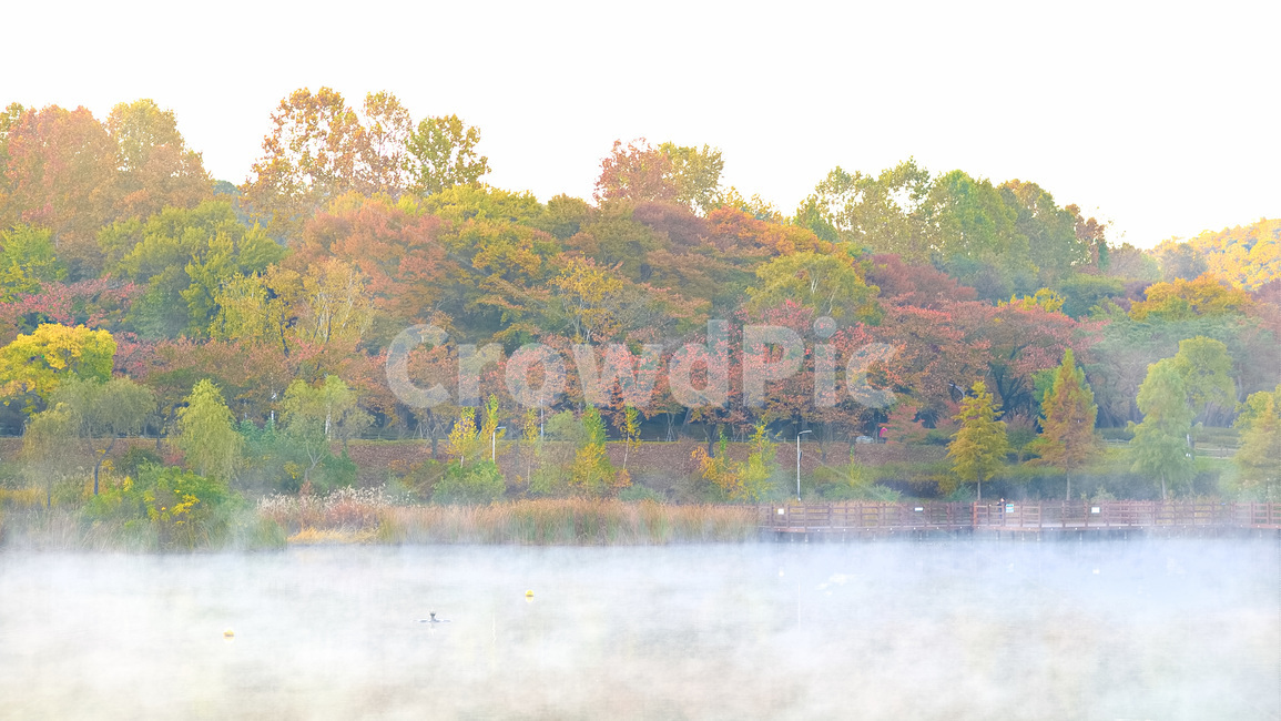 물안개,안개,가을,단풍,풍경,자연,호수,산,가을,계절,fall,autumn,season,자연,풍경,nature,landscape,한국자연풍경,한국자연경관,korea nature landscape,outdoors,옥외,weather,날씨,water,물