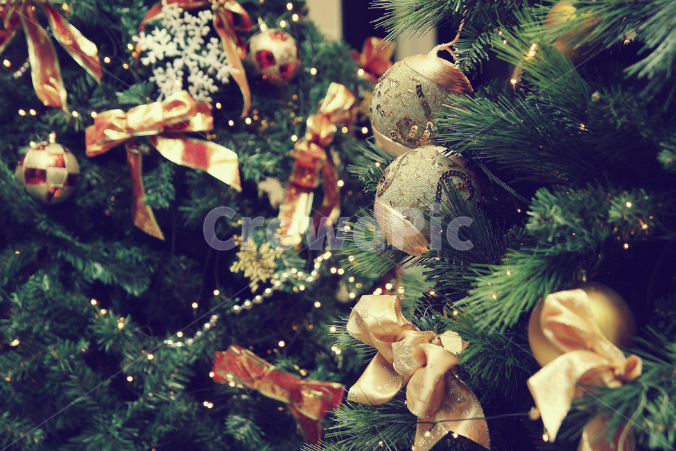 크리스마스,트리,장식,christmas,조명,나무,크리스마스공모전,겨울,계절,winter,season,기념일,축하,anniversary,congratulation,celebrate,celebration,메리크리스마스,성탄절,merry christmas