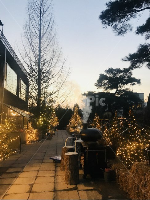 christmas,노을,전등,나무,연기,야경,밤,풍경,nightscape,night,landscape