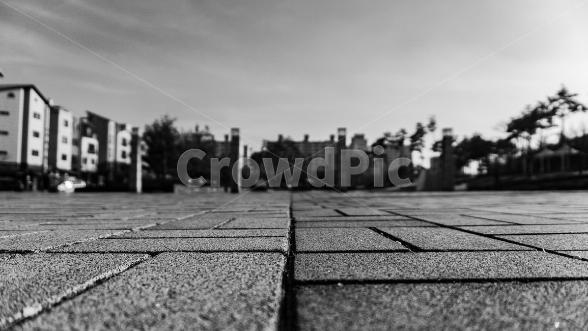 길바닥,타일,직선,흑백사진,풍경,도시,풍경,city,landscape,흑백,모노톤,monochrome,black and white