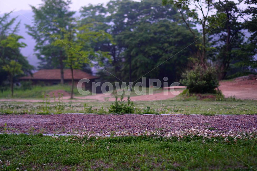 남한산성,힐링,나무,길,자연,자연,풍경,nature,landscape,outdoors,옥외