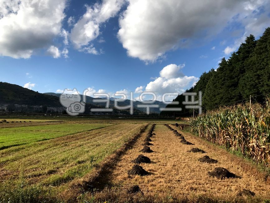 sky,harvest,surface,nature,tree,cloud,field,background,ground,autumn,Wallpapers,Sky of Autumn