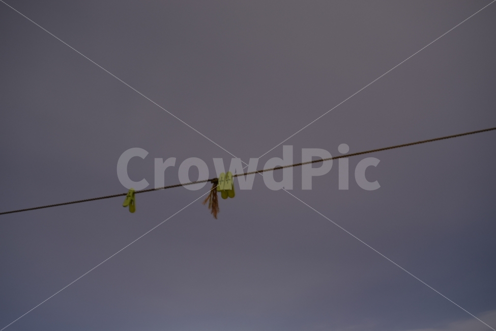 공허함,쓸쓸함,하늘,추억,과거,자연,풍경,nature,landscape,flying,나는,animal,동물,bird,새